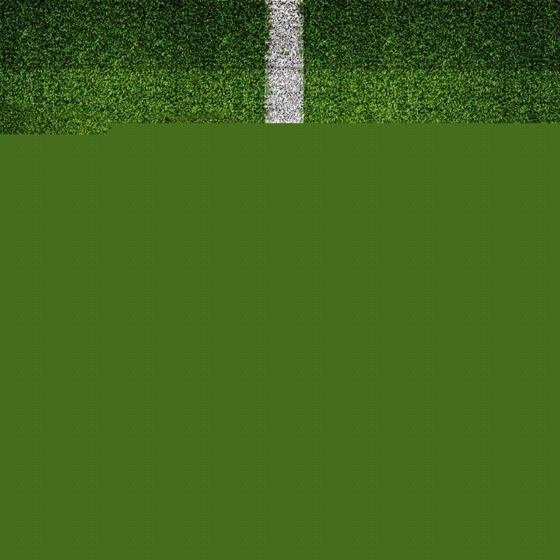 但他的